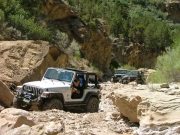 on_the_trail