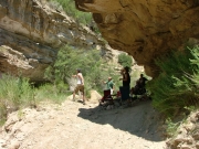throwing_rocks_again