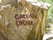 carnage_corner