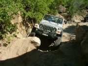 don_in_carnage_corner_part_1