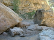 fun_rocks