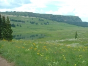 blair_mountain_part_3