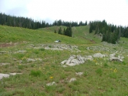 down_from_adams_lake