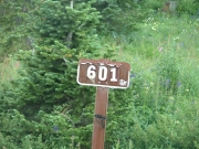 forest_service_road_601