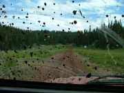 monica_view_from_inside