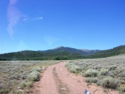 early_trail_part_1
