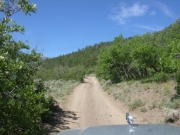 early_trail_part_4