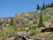 alta_part_2