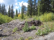 alta_part_3