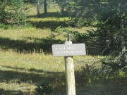 directional_sign