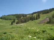 trail_up_the_basin