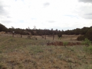fence_at_the_end