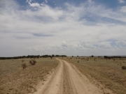 plains