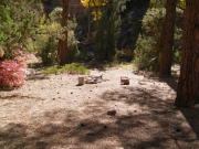campsite
