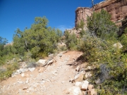 chunky_climb
