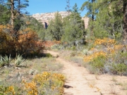 hiking_trail_part_1