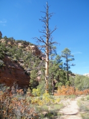 hiking_trail_part_2