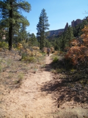 hiking_trail_part_3