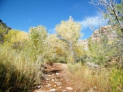 little_rocks