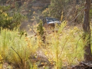 mike_on_the_trail