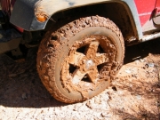 monica_muddy