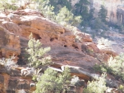 mule_canyon_ruins