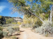 start_of_the_trail