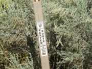 trail_sign