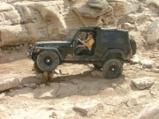 michael_on_a_tree_stump