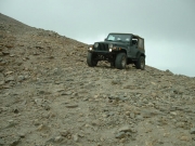 bob_at_the_top