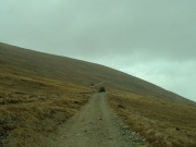 shelf_road