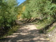 hint_of_yellow_aspens