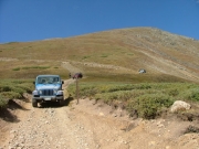 mark_on_the_trail