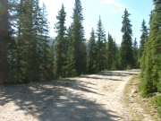 mellow_trail