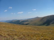 tundra