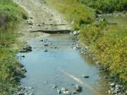 water_crossing