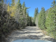mellow_trail