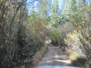 narrow