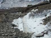 snowy_trail