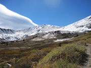 up_from_waldorf