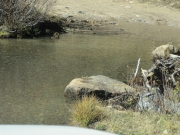 water_crossing