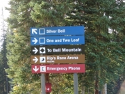 one_and_two_leaf_sign