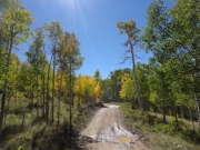 aspens_part_1