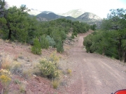 mellow_trail