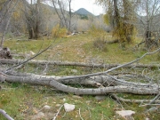 old_trail