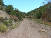 start_of_the_trail