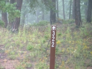 forest_service_sign