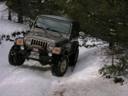 bill_on_the_trail
