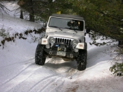 roger_on_the_trail