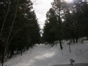 snowy_road_part_2